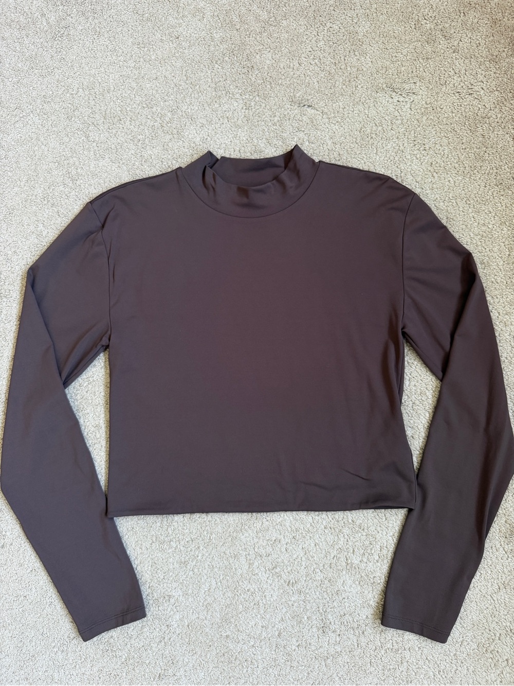 Aritzia babaton Long Sleeve Mock Neck Crop Top in Dark Brown